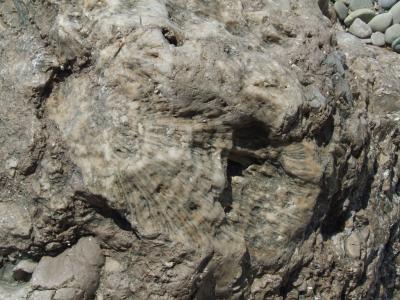 Прикрепленное изображение: 011-4.jpg